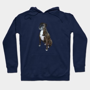 A Handsome Brindle Boxer - Just the Dog Hoodie